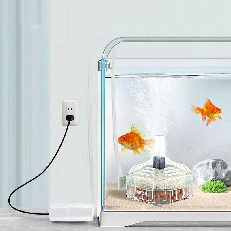 Filtro per acquario super sott - Aquarium Fish Waste Collector recensione e prezzo