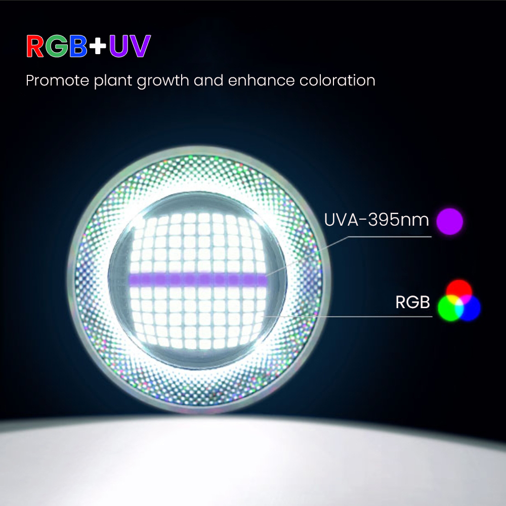 Luce LED per acquario piantato - Aquarium Fish App recensione e prezzo