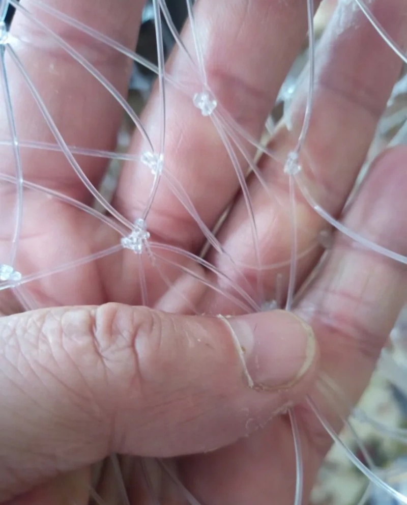 Rete da pesca a doppia linea d - Fish Net Handle recensione e prezzo