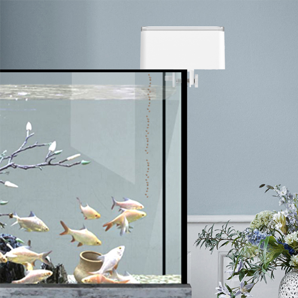 Alimentatore per pesci di gran - Aquarium Fish App recensione e prezzo