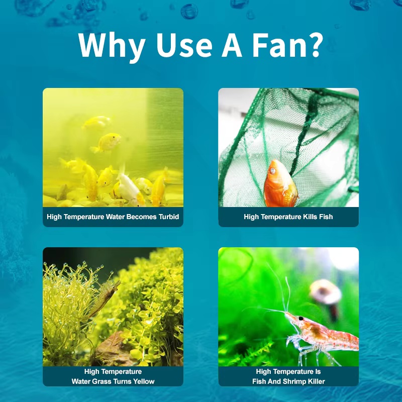 Jebao Jecod Serie ACF Ventola  - Fish Co Aquarium recensione e prezzo