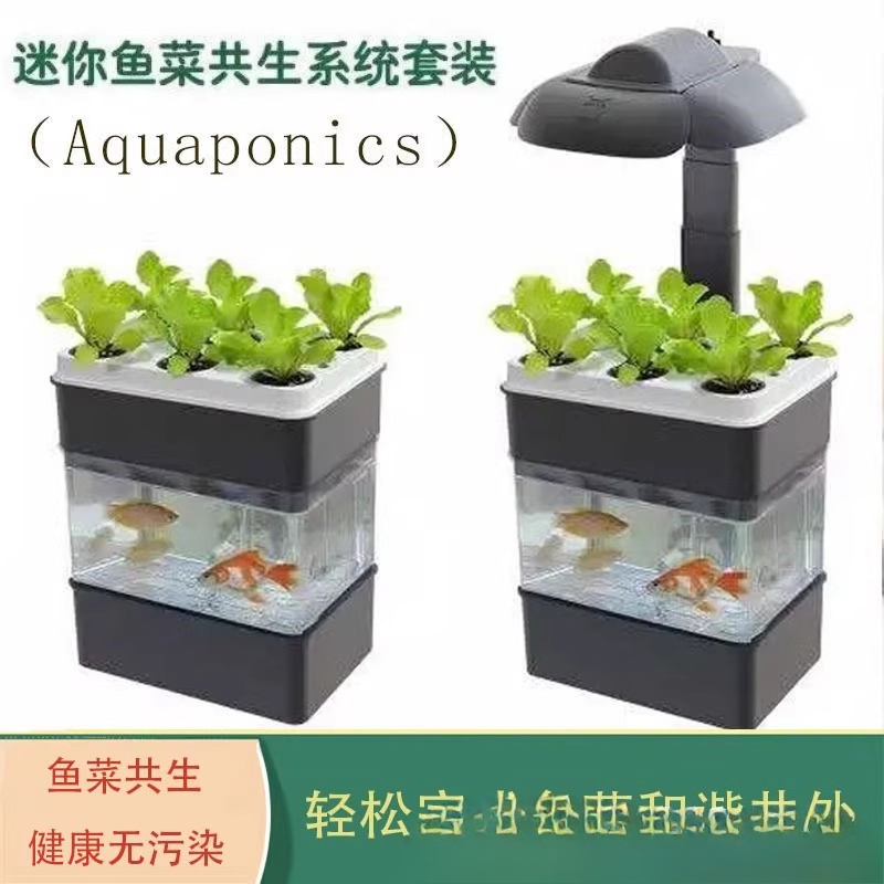 Esportazione acquario acquario - Aquarium Fish Exporter recensione e prezzo