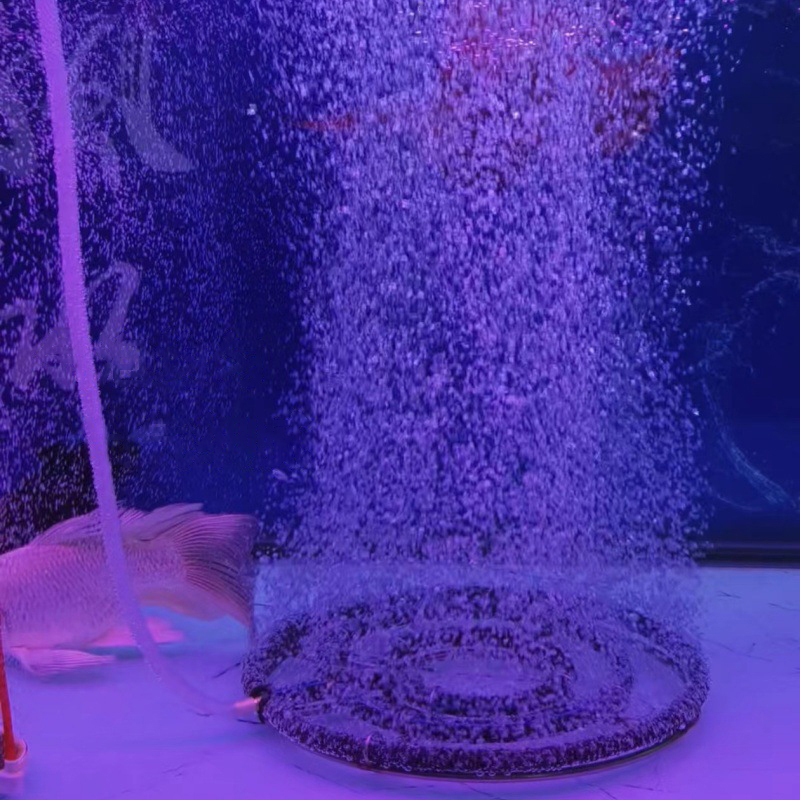 Disco di Aerazione in Acciaio  - Aquarium Fish Discus recensione e prezzo