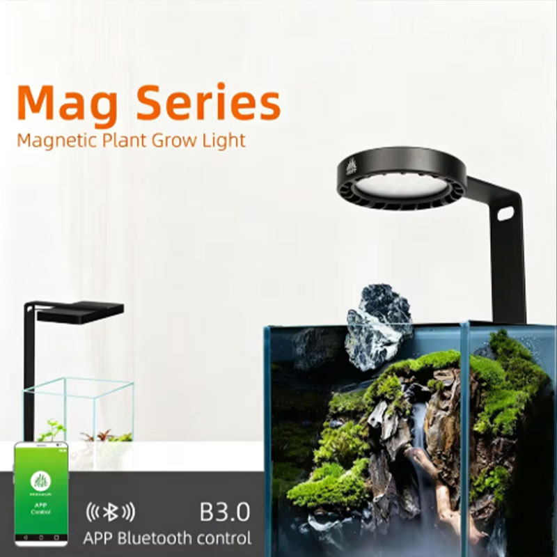 Lampada per Crescita Piante WE - Aquarium Fish App recensione e prezzo