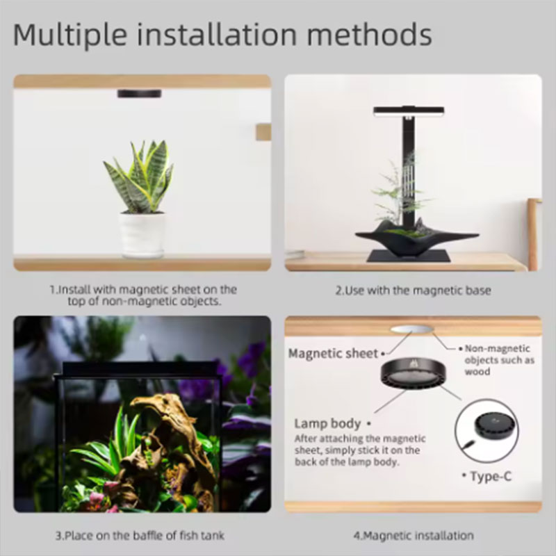 Lampada per Crescita Piante WE - Aquarium Fish App recensione e prezzo