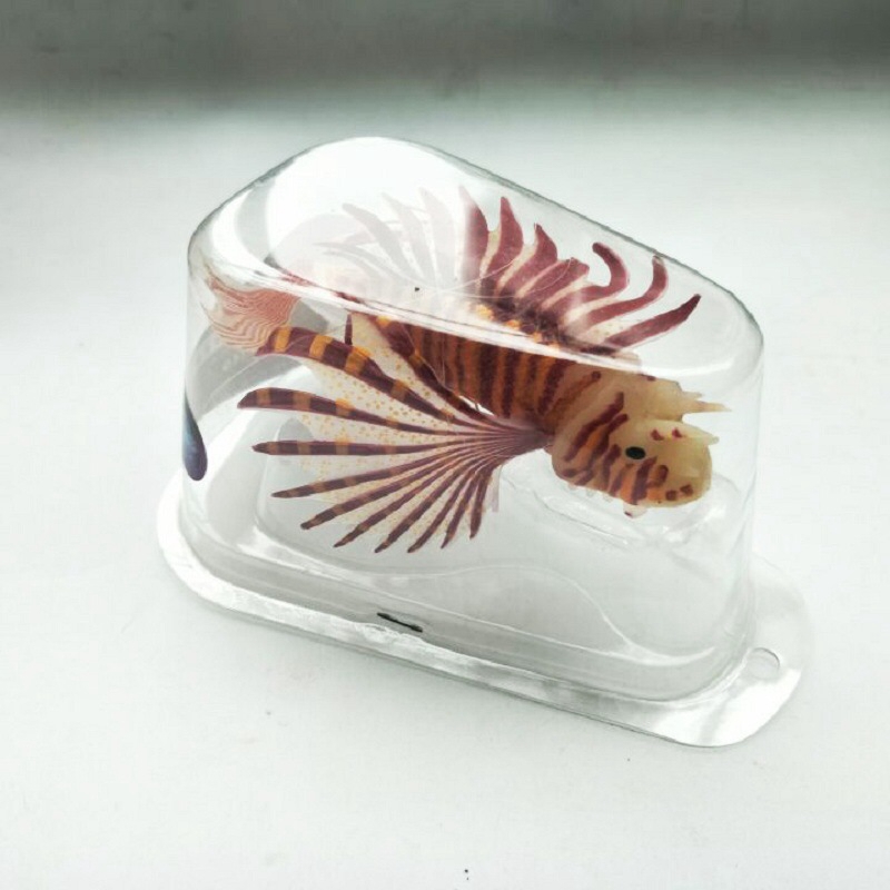 Novel and Funny Toy Fish Tank  - Aquarium Fish Exporter recensione e prezzo