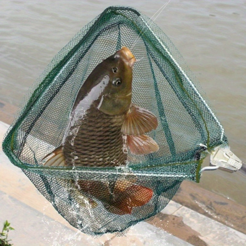 Guadino da Pesca Pieghevole a  - Fish Net Handle recensione e prezzo