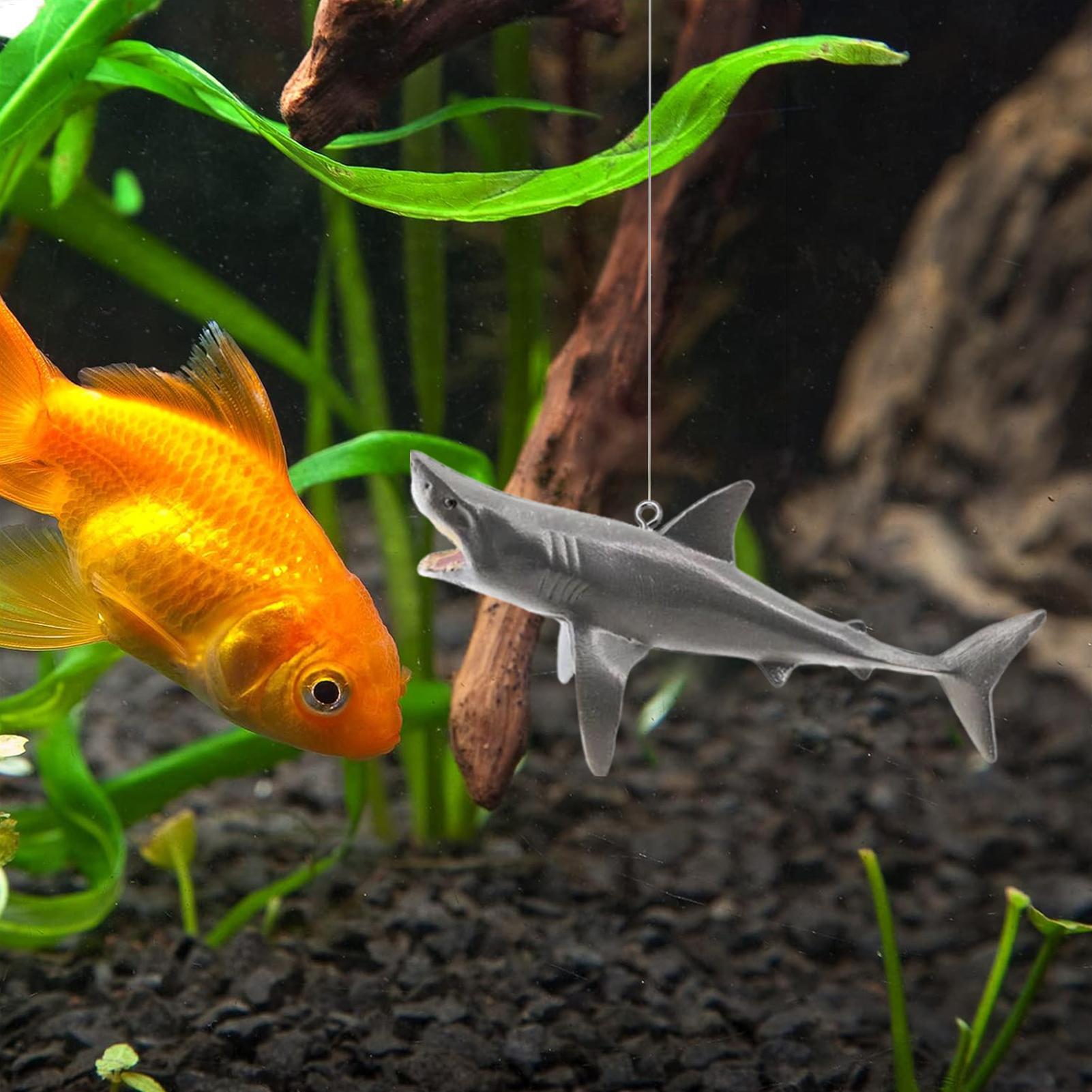 Decorazione del paesaggio dell - Aquarium Fish Shark recensione e prezzo