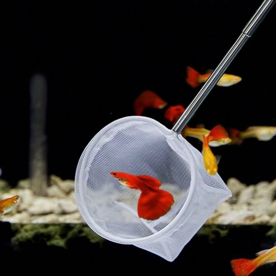 Rete per Pesci da Acquario - R - Fish Net Handle recensione e prezzo