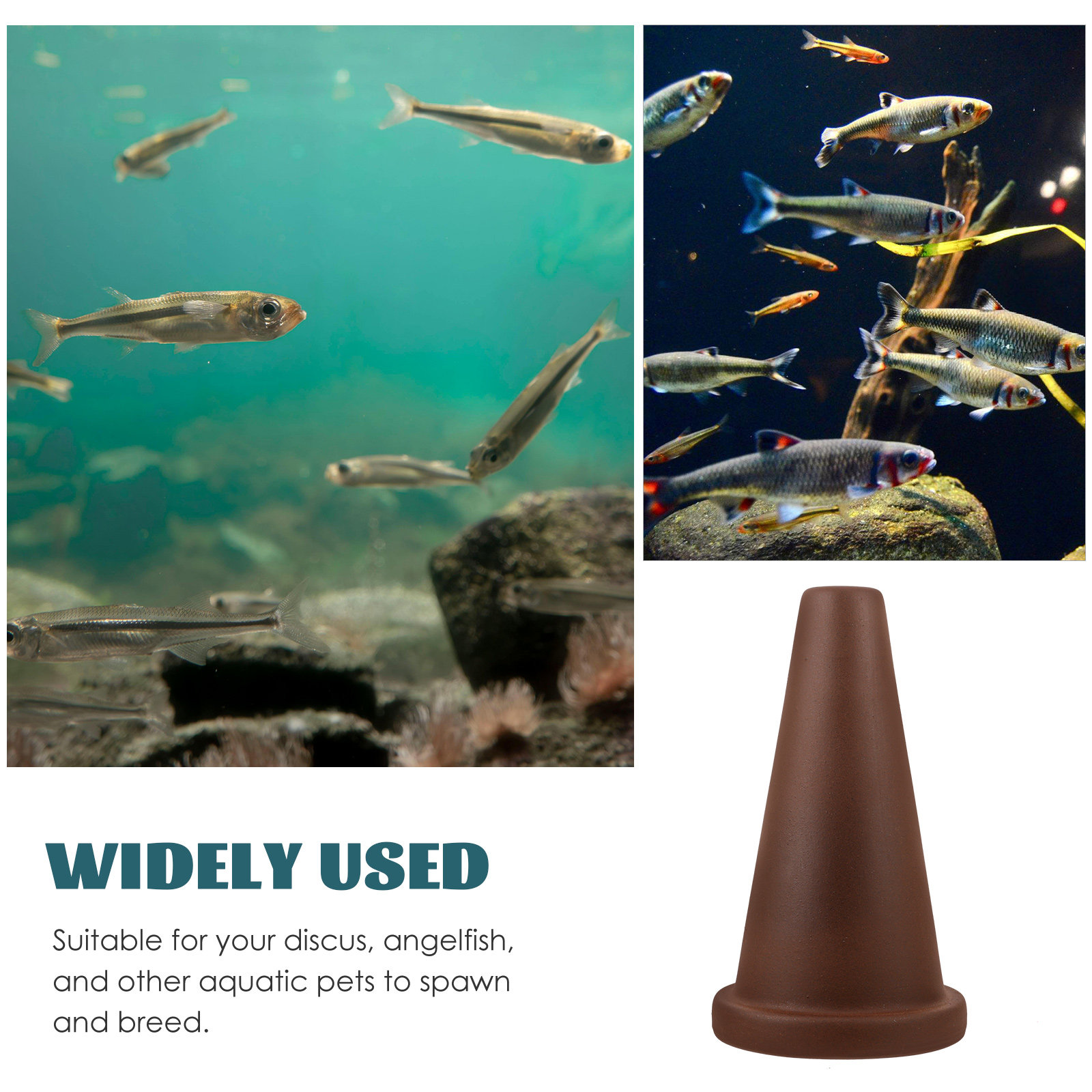 Cono per Allevamento Pesci Acq - Aquarium Fish Discus recensione e prezzo