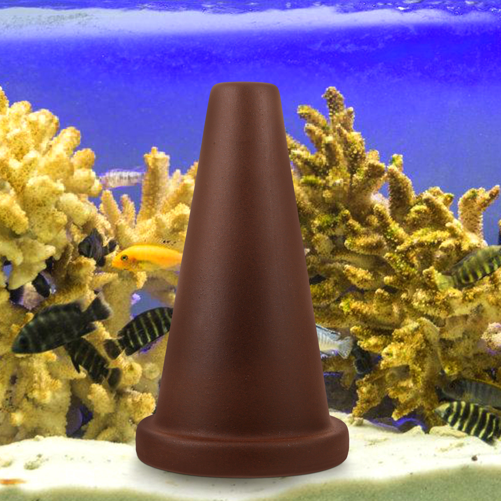 Cono per Allevamento Pesci Acq - Aquarium Fish Discus recensione e prezzo
