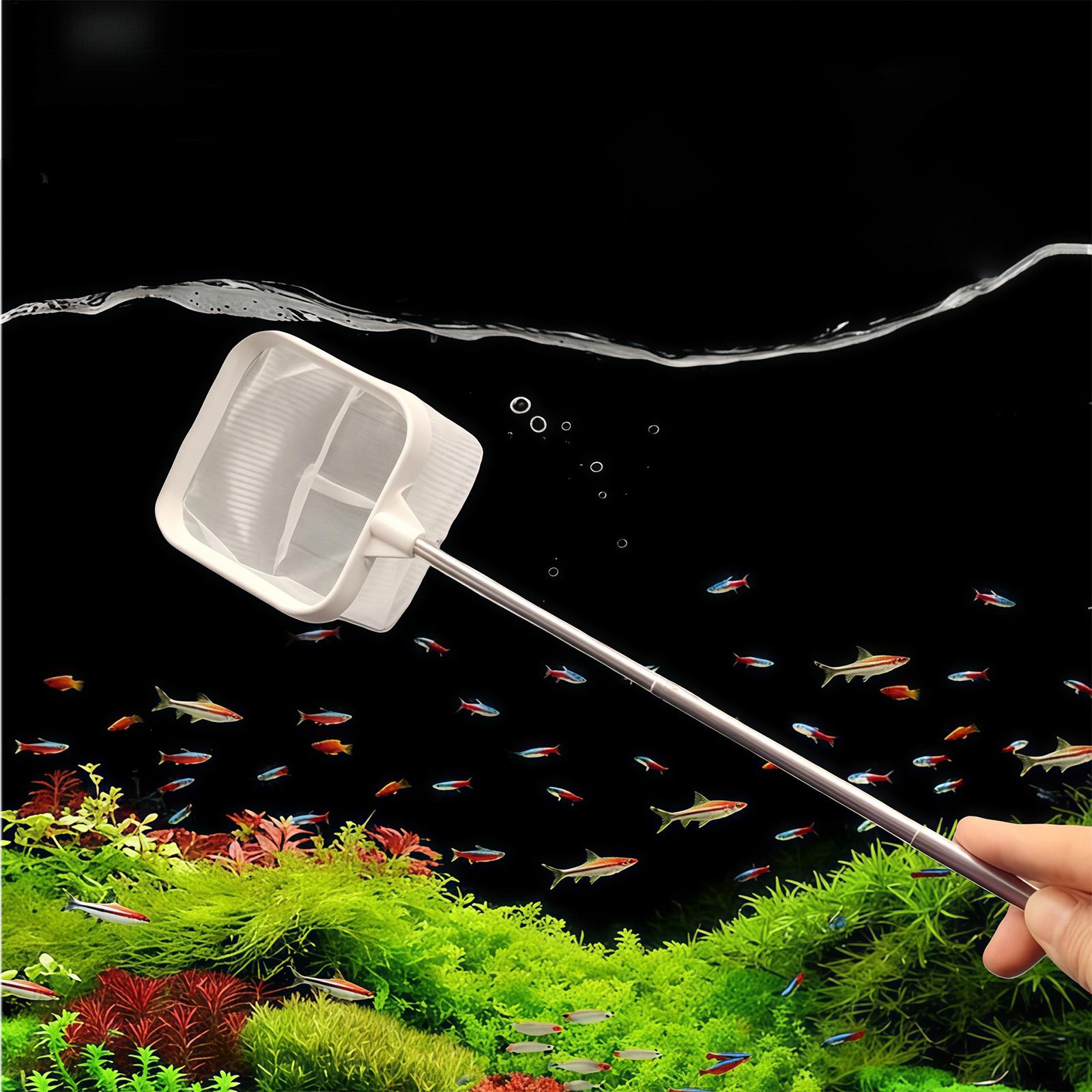 Raccoglitore di foglie per acq - Fish Net Handle recensione e prezzo