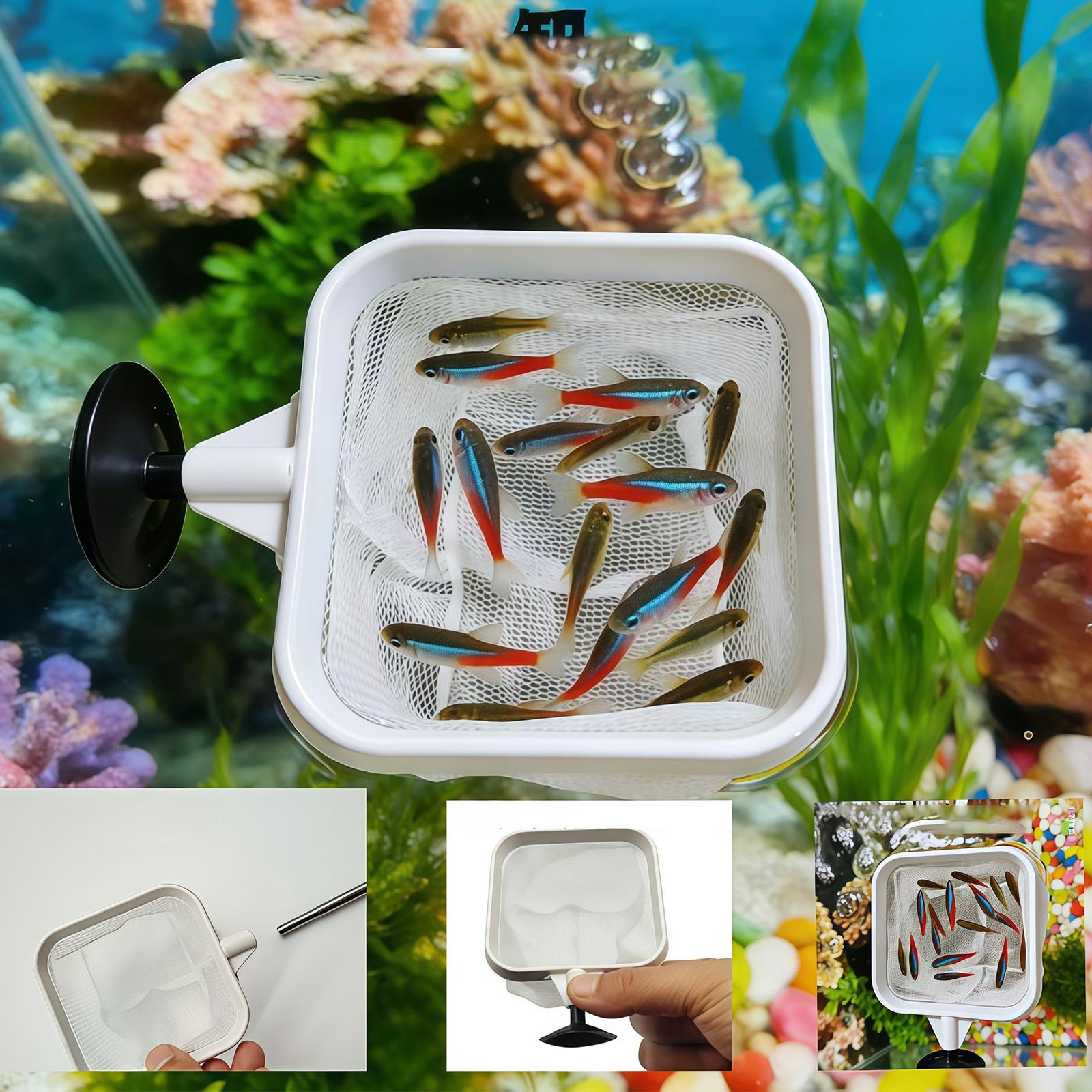 Raccoglitore di foglie per acq - Fish Net Handle recensione e prezzo