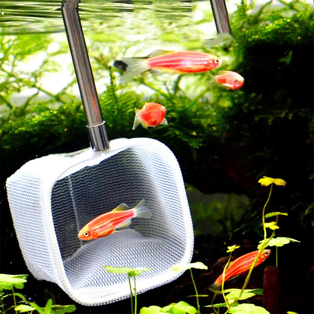 Rete Telescopica Estensibile c - Fish Net Handle recensione e prezzo