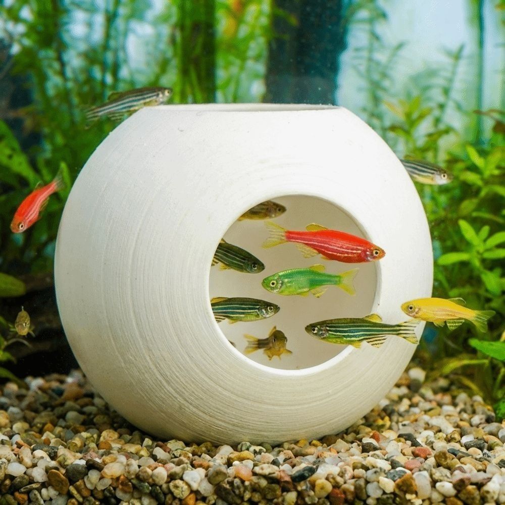Caverna Nascondiglio per Pesci - Aquarium Fish Discus recensione e prezzo