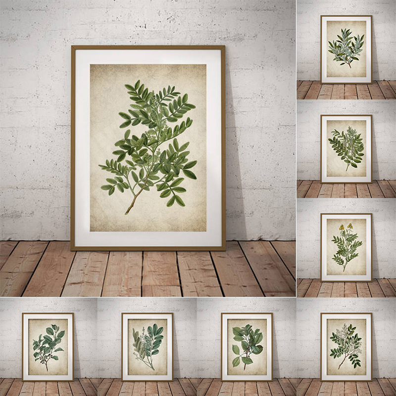 Vintage Green Leaf Botanical P - Live Plant Fertilizer recensione e prezzo