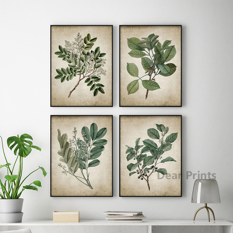 Vintage Green Leaf Botanical P - Live Plant Fertilizer recensione e prezzo