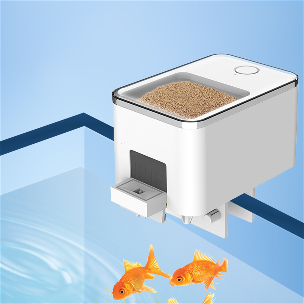Alimentatore automatico intell - Aquarium Fish App recensione e prezzo