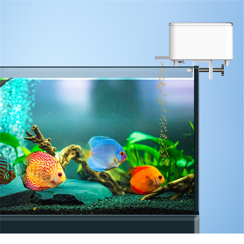 Alimentatore automatico intell - Aquarium Fish App recensione e prezzo