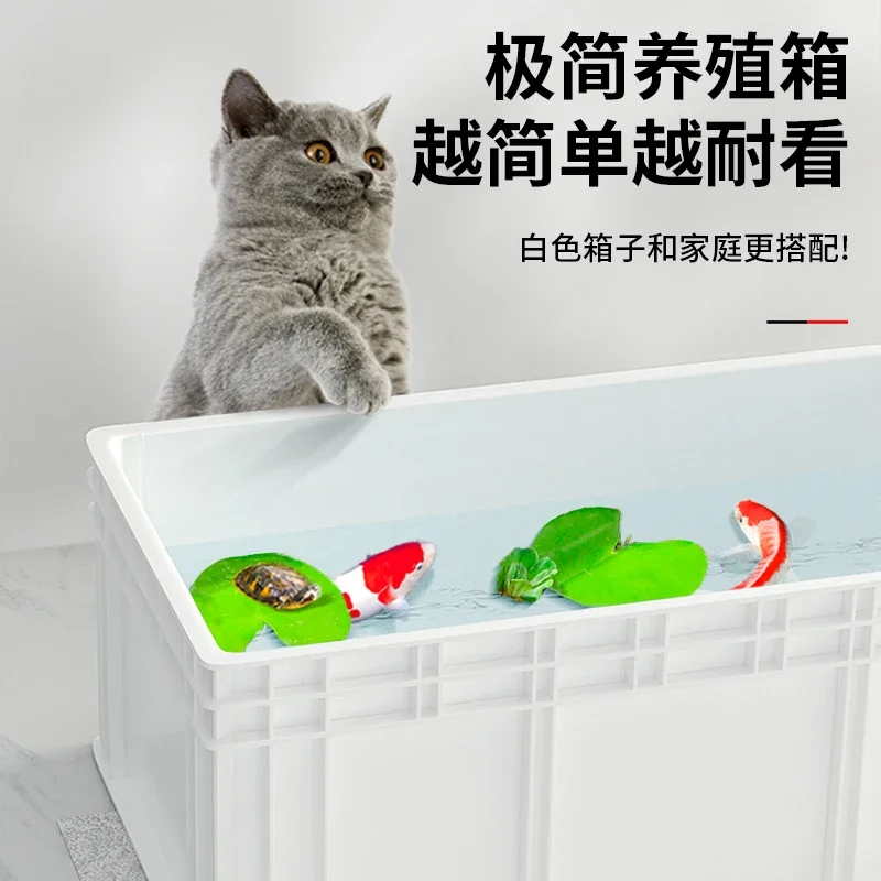 Acquario professionale per tar - Fish Co Aquarium recensione e prezzo